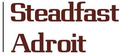 Steadfast Adroit
